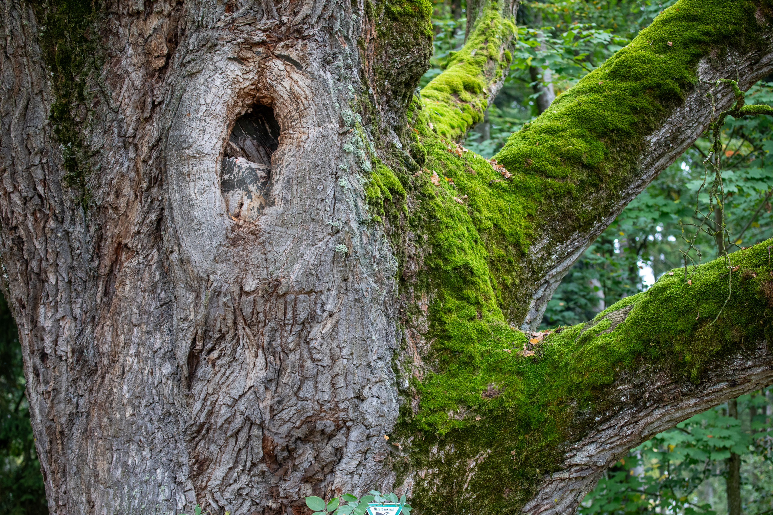 20231015104135 RD4 4750